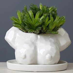 Female Body Ceramic Vase with Drainage Hole – Unique Boho Bust Planter for Indoo